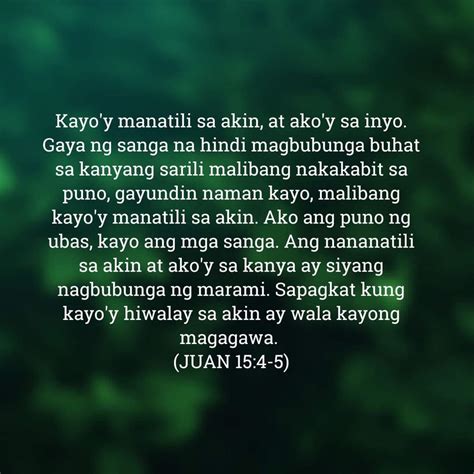 john 15 mbbtag|Juan 15 – Tagalog Contemporary Bible TCB .